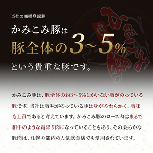 かみこみ豚のポークチャップ 200g×2枚×6パック 計12枚 合計 2.4kg 豚肉 豚丼 北海道  真空 豚 ポーク