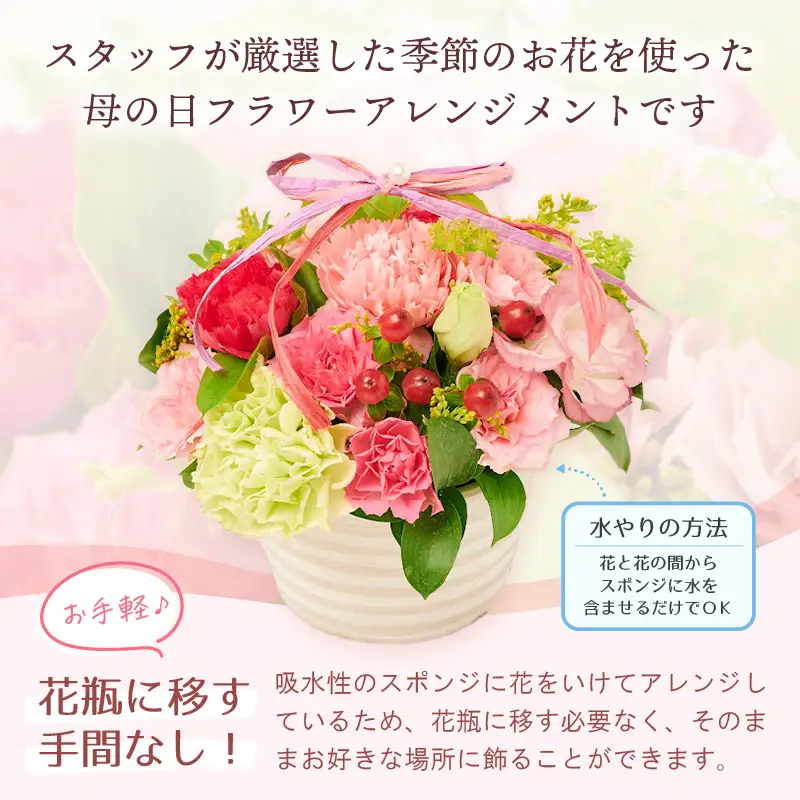 【先行予約】【母の日限定】母の日ギフト 届いてそのまま飾れるフラワー 生花 プレゼント 感謝メッセージカード越前和紙 小花付 【2027年5月発送】  [e51-a006]
