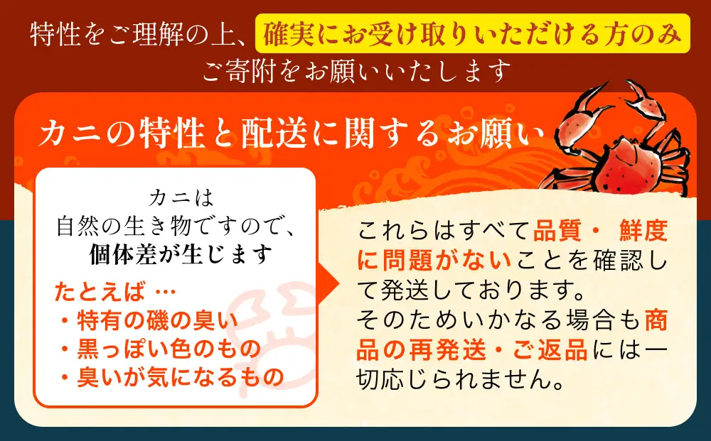 【先行予約】ボイル紅ズワイガニ 大サイズ 【26年10月以降順次発送】 カネツル砂子商店 | 蟹 カニ ズワイ