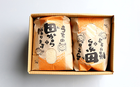 定期便 【先行予約】令和6年産 漢方栽培 十四代目のササニシキ 10kg（5kg×2）×6回 米 お米 おこめ 山形県 新庄市 F3S-2179