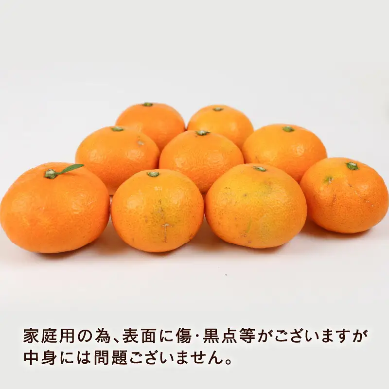 愛媛みかん 早生みかん 宮川早生 9kg 家庭用 植村農園 先行予約 温州蜜柑 温州みかん mikan 愛媛ミカン 愛媛蜜柑 愛媛みかん 温州 早生温州 早生 蜜柑 果物 くだもの フルーツ 柑橘 農家直送 産地直送 数量限定 国産 愛媛 愛媛産 宇和島 B010-153003