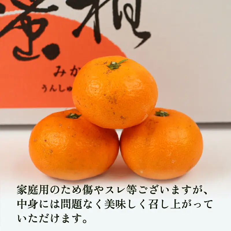 温州みかん南柑20号9kg家庭用植村農園温州みかん温州みかん温州みかん温州みかんB010-153004