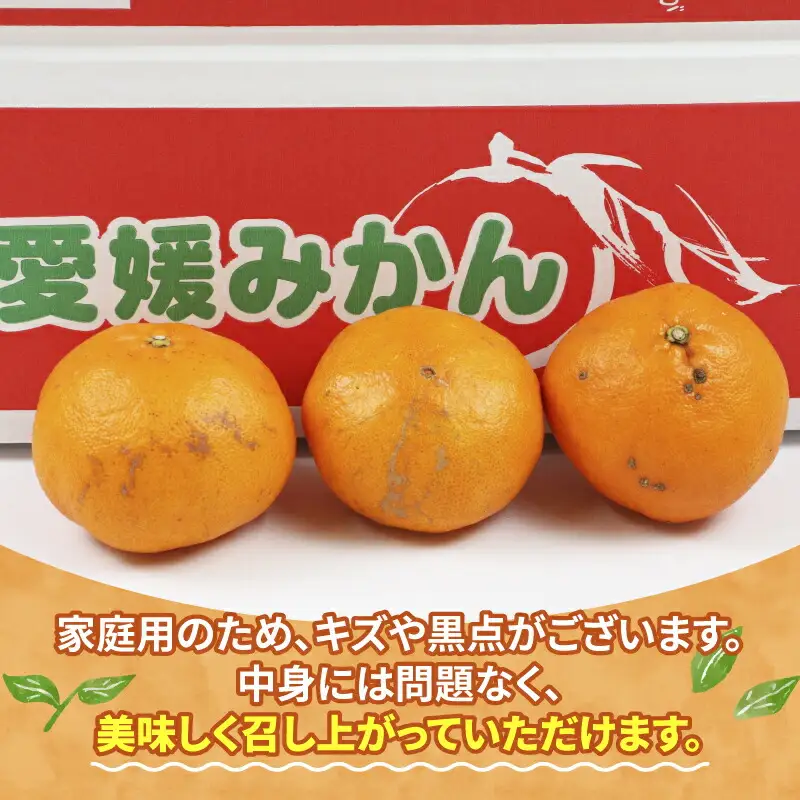 甘平 家庭用 3.5kg 植村農園 甘平 B010-153006