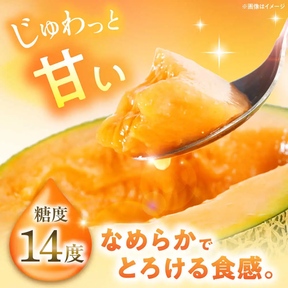 キングルビー 4-5玉  [AJAM005] メロン 産地直送