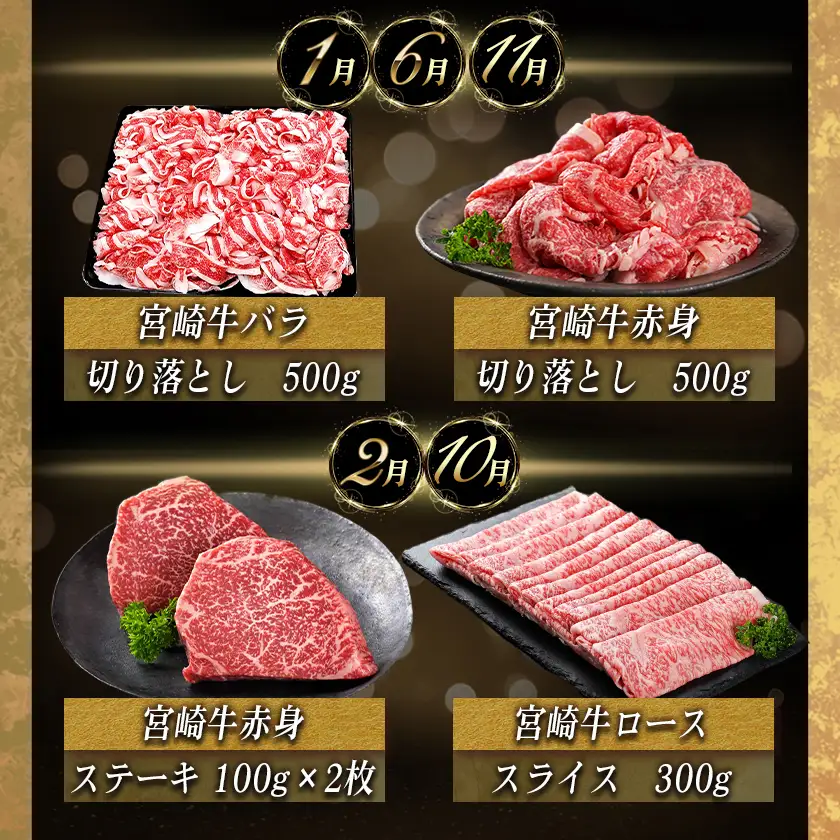 宮崎牛定期便(10ヶ月)〔T120（10）-0103〕_(都城市) 宮崎牛 A5 10ヶ月定期便 赤身 バラ ロース スライス 焼肉用 切り落とし サーロインステーキ
