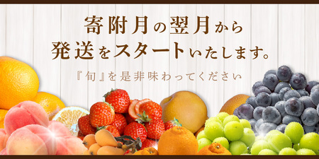 月の旬果定期便♪(12ヶ月連続)