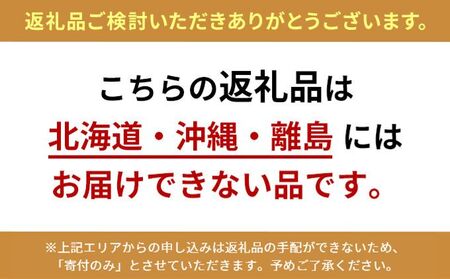 ドールハウス Bear meets Cat LEDライト付 ドールハウス