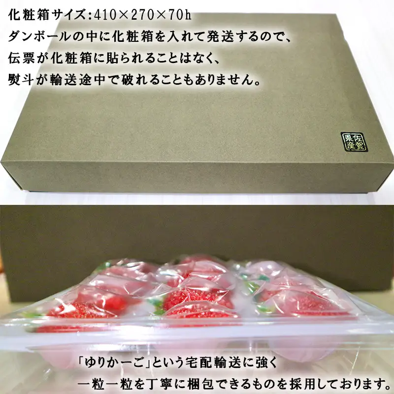 特選濃厚苺30粒 品種：いちごさん or さちのか 佐賀県唐津産 (贈答用・ギフト用・熨斗対応可・化粧箱)