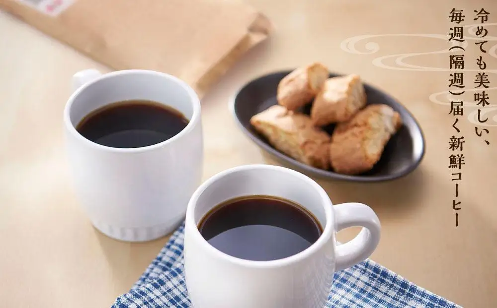 【定期便 全6回】【豆】屋久島の水で研いだ（焙煎機を使用した）コーヒー（1回分120g）