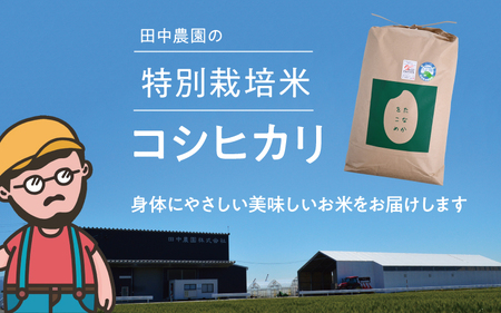 【先行予約】【令和7年産】乳酸菌入りの土壌で育てた福井県 坂井町産 特別栽培米コシヒカリ 10kg（白米）【2025年9月中旬以降順次発送予定】 [B-4806_01]
