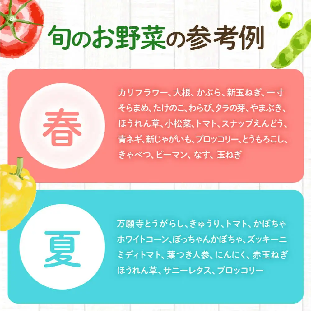 鯖街道からお届けする季節の新鮮野菜セット 8種以上[A-023004] [BFAN006]