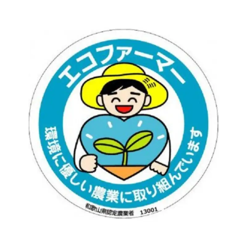 採れたてタネなし柿“3L”サイズ7.5kg＜2026年10月中旬～10月下旬頃発送予定＞【art021A】