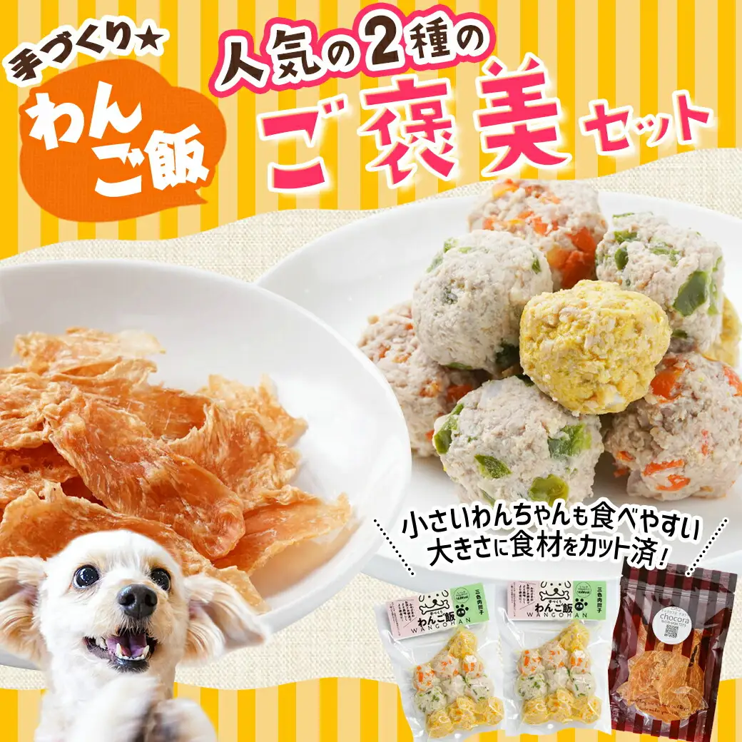 手づくり☆わんご飯「ご褒美セット」〔AA-J501〕_(都城市) わんちゃん用 手づくり 無添加 保存料無し 安心 安全 三色肉団子 ジャーキー 