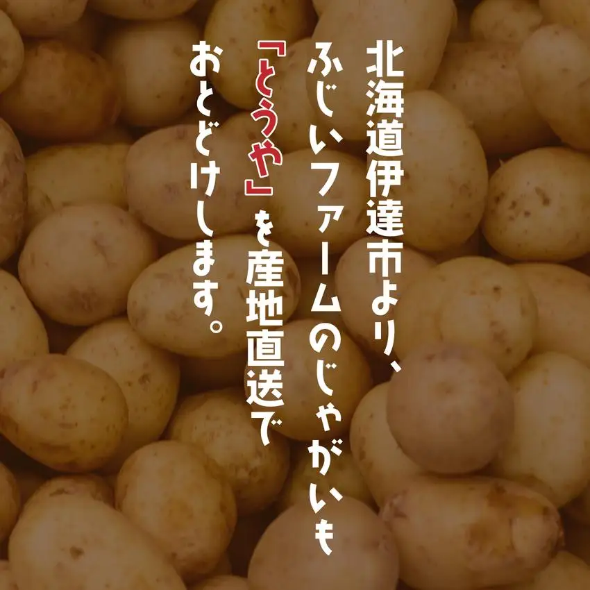 ＜先行予約＞北海道産 じゃがいも(とうや) 約5kg【55250843】
