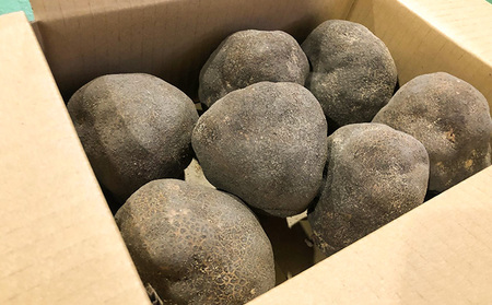【黒部市特産品！】黒部丸いも 約2.5kg/富山県黒部市 野菜 根菜 国産 日本産 食卓 料理 調理 食材 ヤマイモ科 粘りが強い 豊富な消化酵素 ねばねば 