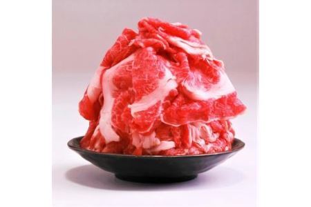博多和牛 切り落とし 500g 牛肉 国産 冷凍