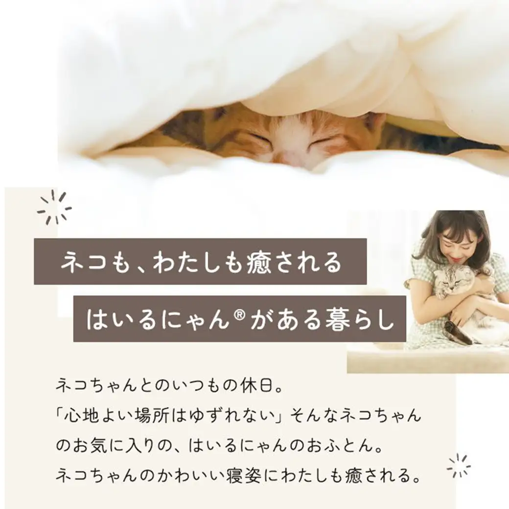 【アイボリー】ねこのおふとん「はいるにゃん(R)」Lサイズ〔AO-J201-iv〕_(都城市) ペット用品 ねこのおふとん Lサイズ 幅60cm 長さ65cm アイボリー 日本製