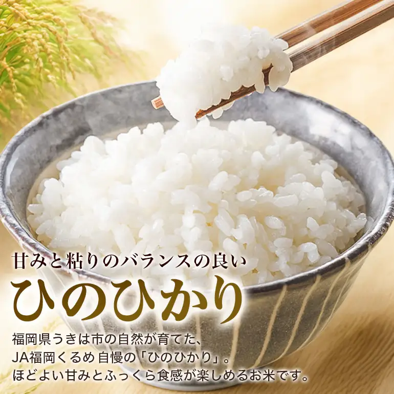 ひのひかり 米 お米 白米 20kg 令和8年産 新米 【JA福岡くるめ にじの耳納の里】 A01-011-PD03-20