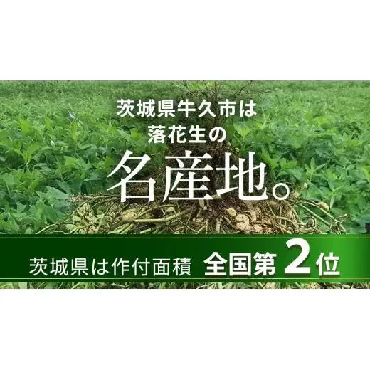 牛久市産 素煎り 落花生 （ むき実 ）180g × 5袋 セット 計900g