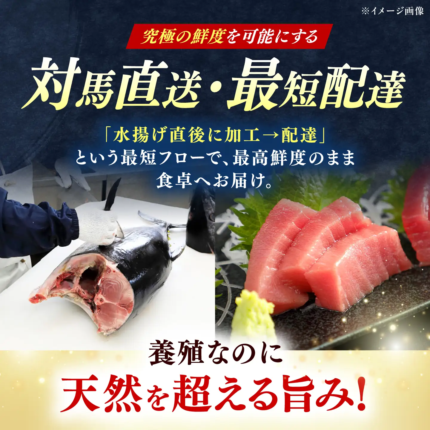 【全6回定期便】対馬産 本マグロ 4種 計1kg（赤身/中トロ/大トロ/ネギトロ） [WAH007] マグロ 本マグロ トロ 赤身 ネギトロ