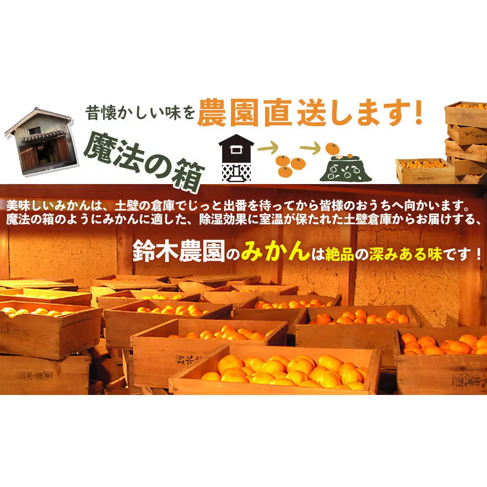 蔵出しみかん 3kg 鈴木農園が厳選したプレミアム 冬みかん 少量で1月・2月の贈答用におすすめ