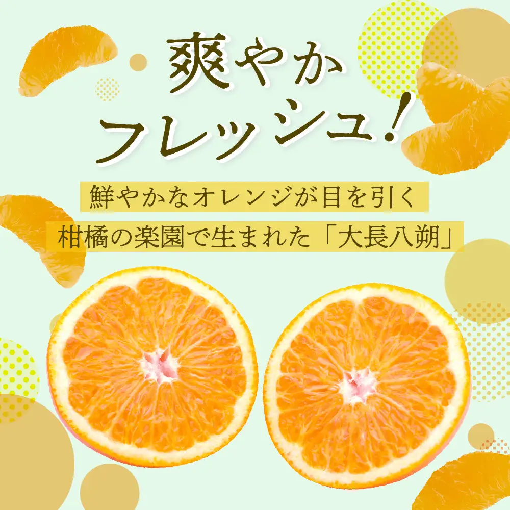 【先行受付】【2027年2月上旬～発送】瀬戸内 大崎下島産 大長八朔 10kg　 柑橘 かんきつ はっさく 産地直送 お取り寄せ ジューシー 広島県 呉市 ku012-011-26