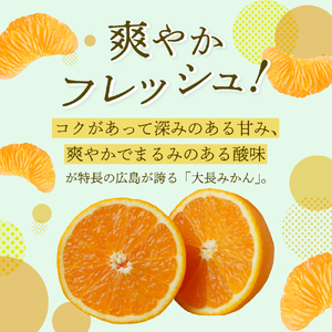 【先行受付】【2026年12月上旬～発送】広島県産 呉 大長みかん 10kg ku012-012-26
