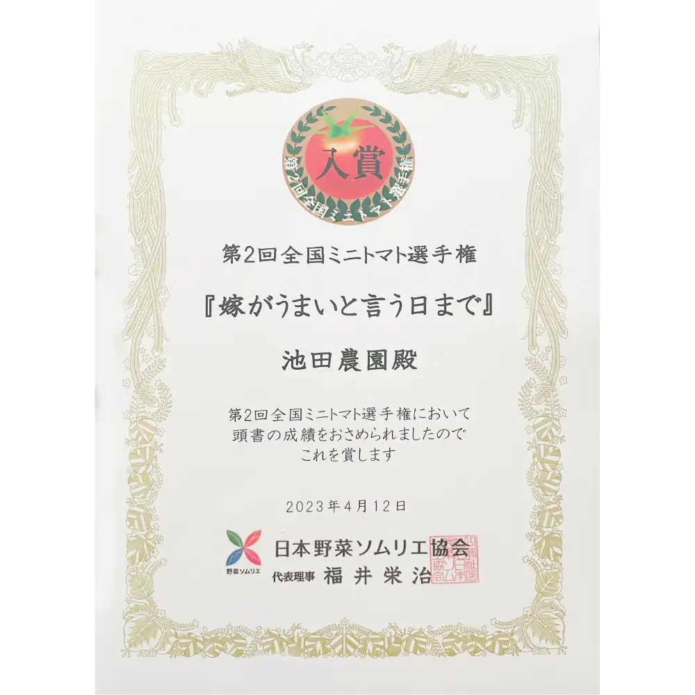 ミニトマト 【先行予約】 嫁がうまいと言う日まで 800g 【2026年12月上旬より順次発送】 ミニトマト
