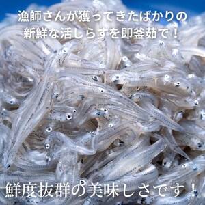 篠島 高級釜揚げ しらす 干し 350g(70g×5袋小分けパック) シラス ちりめん じゃこ かちり 魚 小魚 魚貝 魚貝類 海鮮