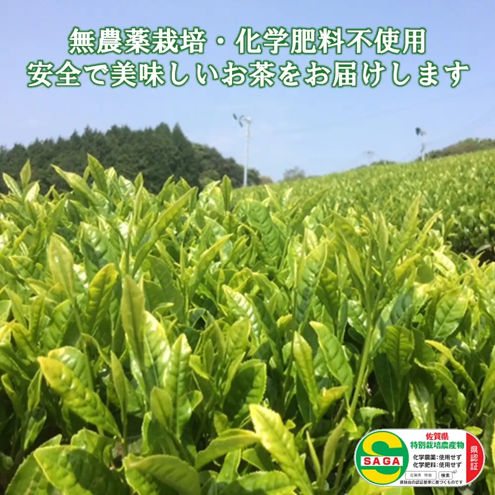 【お中元】【無農薬栽培】基山茶高級煎茶2袋セット K009011