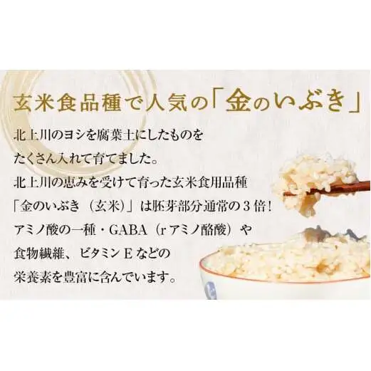 ＜先行予約＞ 令和8年度 金のいぶき 玄米 5kg 新米 ヨシ腐葉土米 米 お米 こめ コメ ご飯 玄米ごはん 食物繊維 GABA ビタミンE 宮城県産  宮城県 石巻市 宮城 石巻