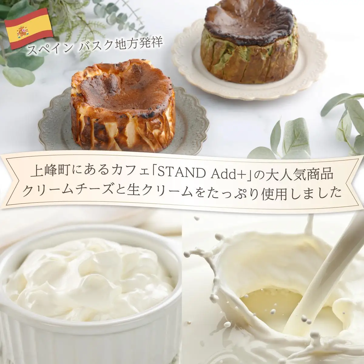 濃厚バスクチーズケーキ 抹茶×2    [C-694-SP_002]