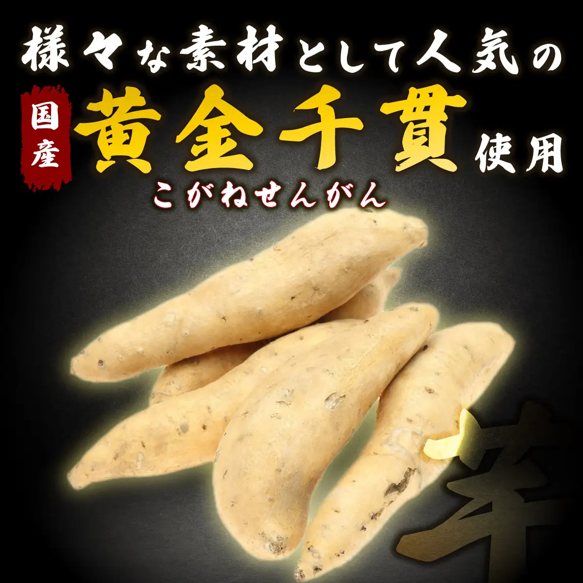 【４ヶ月連続定期便】　塩けんぴ　１２袋小分けセット（計１２６０ｇ）　【室戸海洋深層水使用】