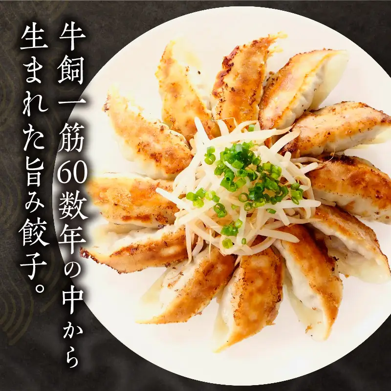 牧場育ち 牛肉100％旨み餃子（餃子12個パック×5） 餃子 ぎょうざ 惣菜 牛肉