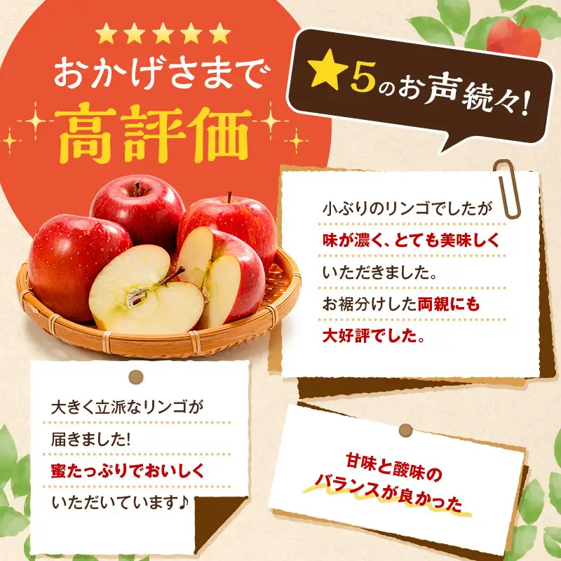 りんご サンふじ 約10kg 24～40玉入 リンゴ