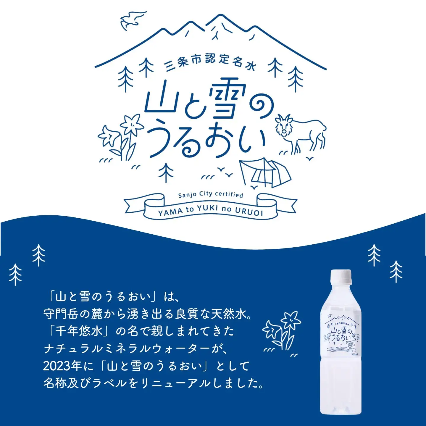 定期便 ミネラルウォーター 500ml×24本 9か月 ナチュラルミネラルウォーター 山と雪のうるおい 軟水 防災 新潟県三条市