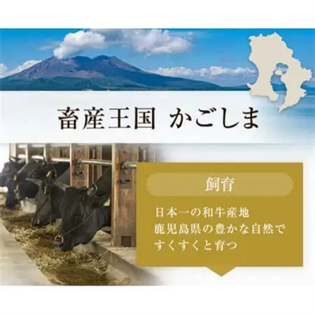鹿児島黒毛和牛サーロインステーキ300g【配送不可地域：離島】【1186116】