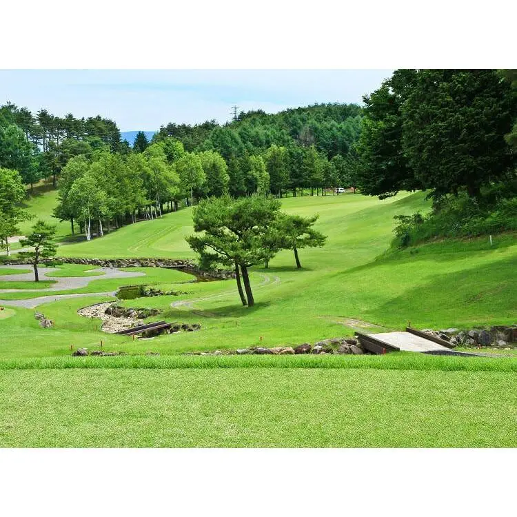 【平日ゴルフ券】塩嶺カントリークラブゴルフプレー券（セルフ）