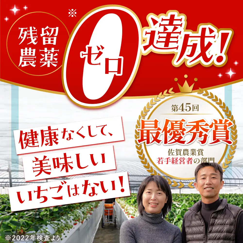 【先行予約】【2?4月発送】朝摘みいちご いちごさん 1kg（250g×4パック）  [HAF023]いちご いちご いちご いちご
