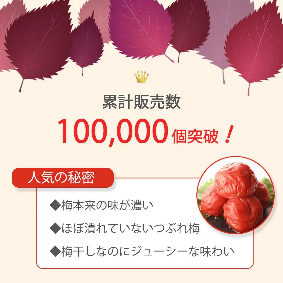 紀州南高梅 完熟 梅干し つぶれ梅 しそ梅 800g 塩分10％ ふるさと納税