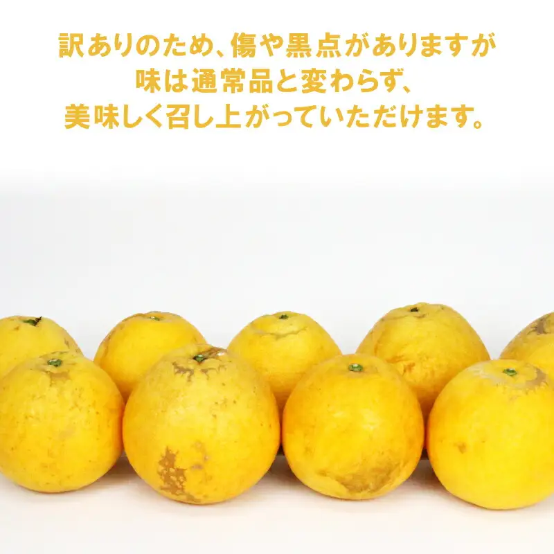 訳あり 河内晩柑 約 8.5kg サイズ不揃い NBU 柑橘 B012-058010