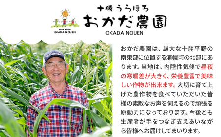 【2026年先行予約】「ほしつぶコーン」10本 