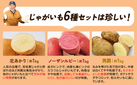 じゃがいも6種の彩りセット 1kg × 6袋 じゃがいも メークイン キタアカリ 男爵 シャドークイーン ノーザンルビー レッドムーン 