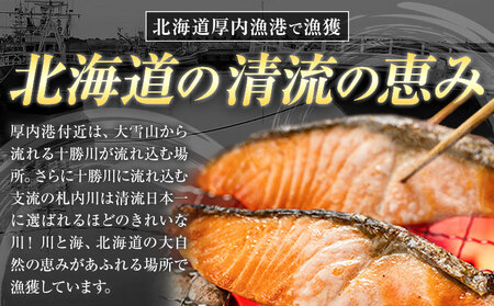 鮭 新巻鮭 セット 3種 合計550g （ 切り身 250g ・ ハラス 150g ・ カマ150g ） 一般社団法人十勝うらほろ樂舎 北海道 十勝郡 浦幌町 十勝浦幌町厚内産 鮭 しゃけ 天然 塩漬け おにぎり お茶漬け 焼き鮭 ムニエル ご飯のお供 おかず st-p