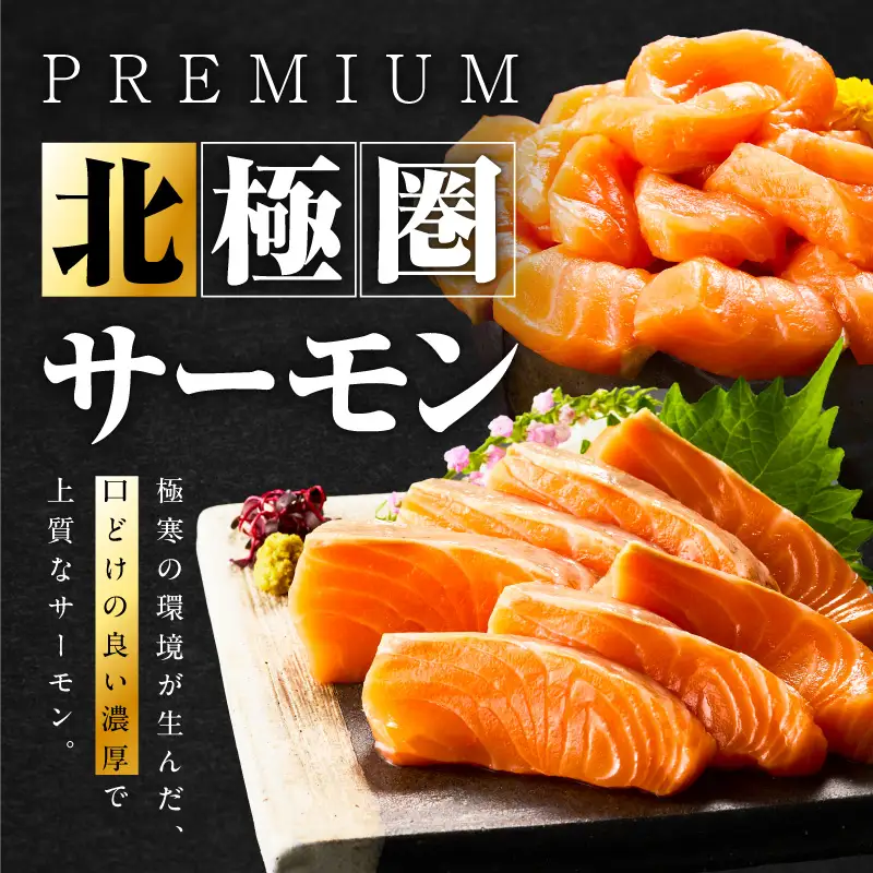 北極圏サーモン ポーション 1kg