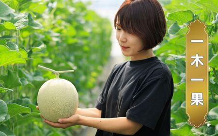 【先行予約】9月中旬出荷予定 高級マスクメロン 1個（2～2.2kg程度）100セット限定 濃厚な甘みととろける食感 農家直送 １本の木に１玉だけ 愛情込めて育てた自慢の逸品