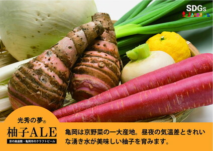 クラフトビール「光秀の夢 柚子ALE」350ml 10本（化粧箱入り）ビール