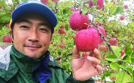  【贈答用】旬のりんご・おまかせミックス！【６～８品種】花巻産約３kg 【1245】