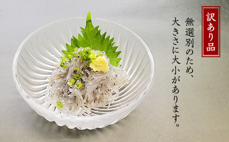 【 訳あり 】 生しらす 1kg 【 TV等で話題の凍眠 （ 急速冷凍 ） 】