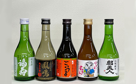 兵庫五国！隠れ名酒のほろ酔いセット［No.311］